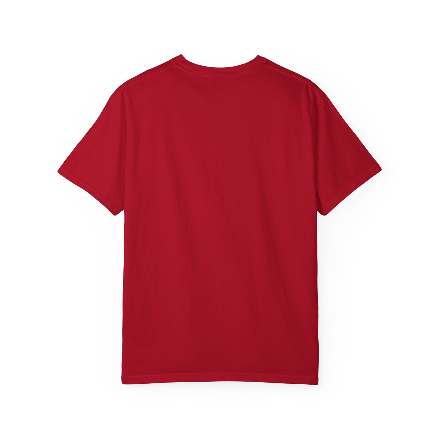 Comfort Colors Spartan Nation Summer Tee