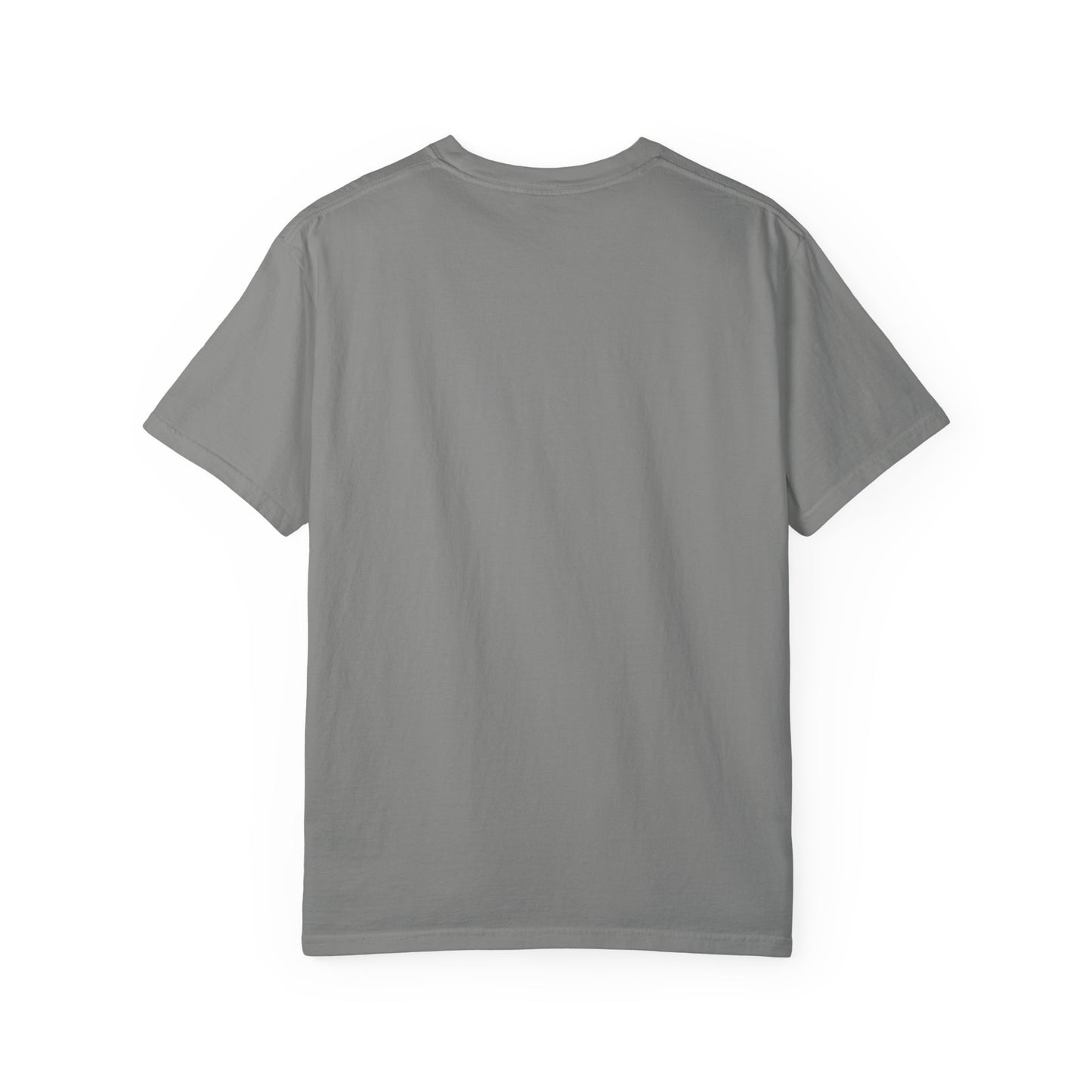 Comfort Colors Spartan Nation Summer Tee