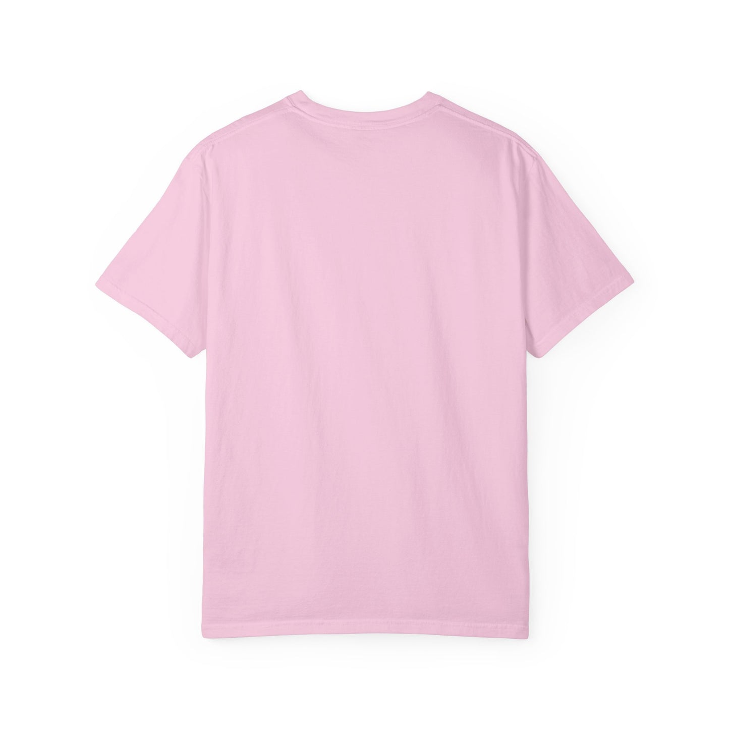 Comfort Colors Spartan Nation Summer Tee