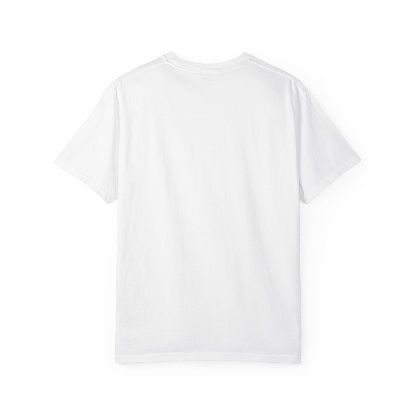Comfort Colors Spartan Nation Summer Tee